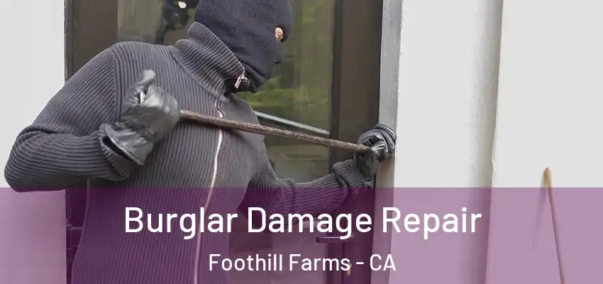  Burglar Damage Repair Foothill Farms - CA