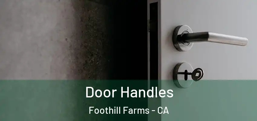 Door Handles Foothill Farms - CA
