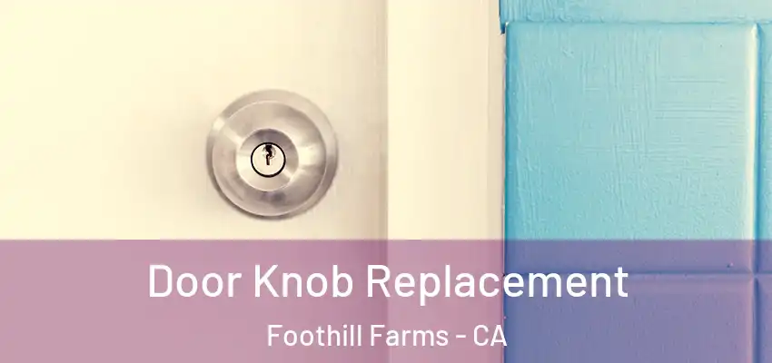 Door Knob Replacement Foothill Farms - CA