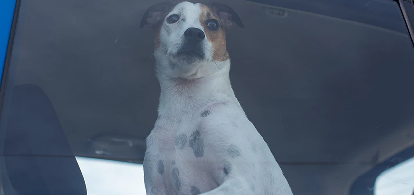 Car Lockout Solutions in Foothill Farms, California