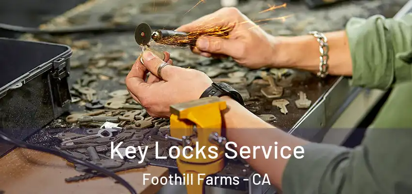  Key Locks Service Foothill Farms - CA