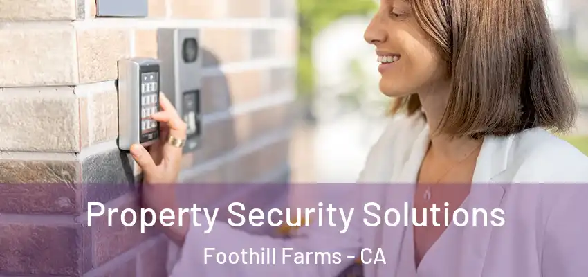 Property Security Solutions Foothill Farms - CA